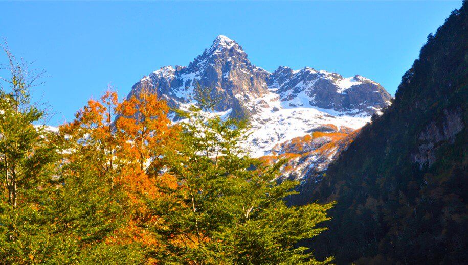 Mountain in the south of Chile